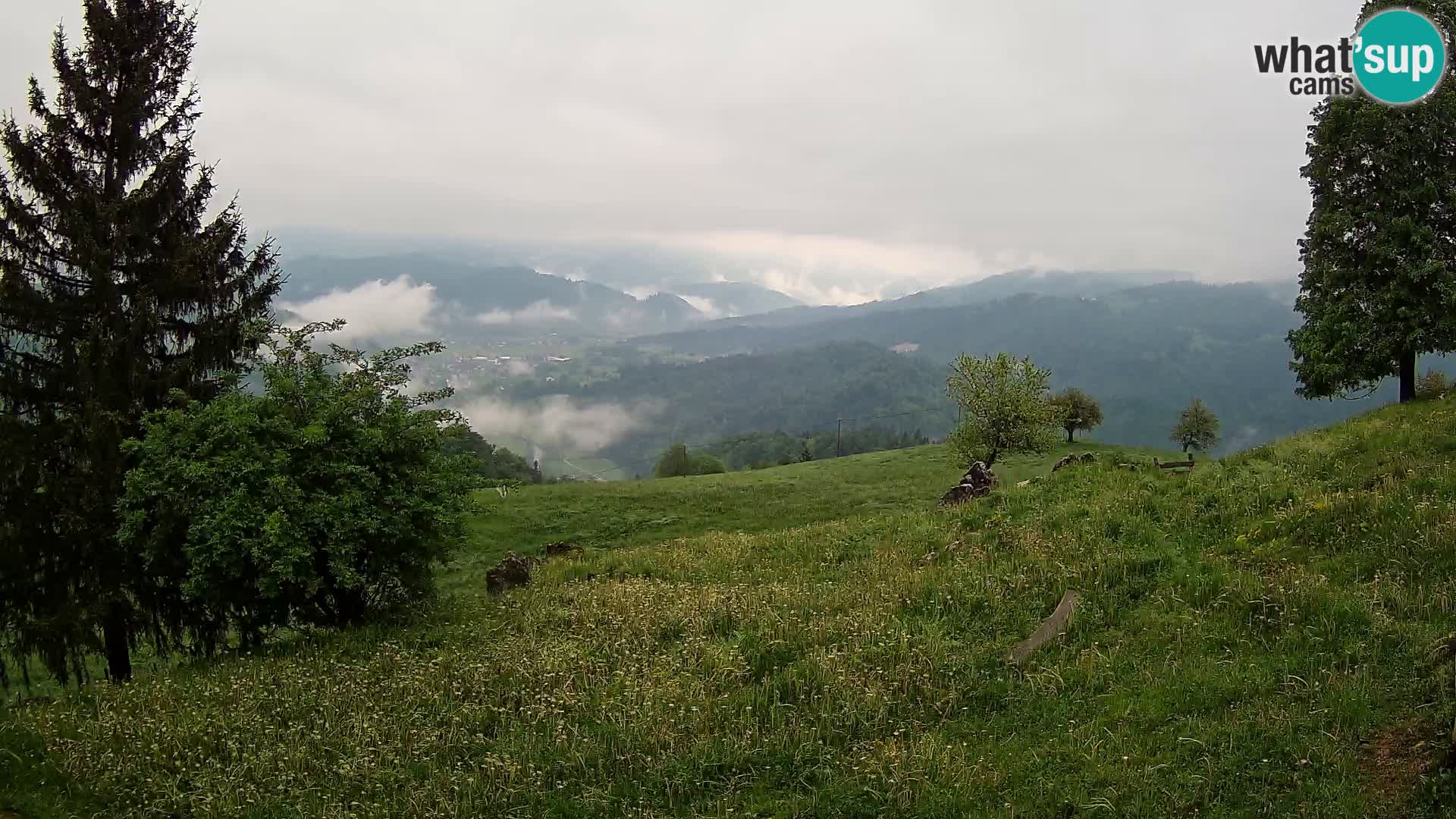 Slajka webam | Gorenja vas | Slovenia