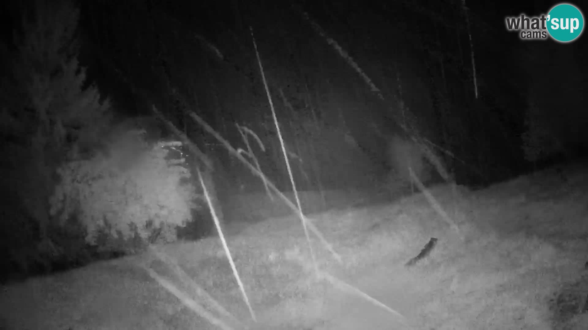 Slajka camera en vivo | Gorenja Vas | Eslovenia