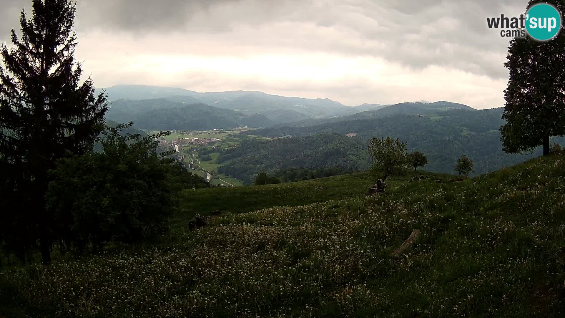 Slajka webam | Gorenja vas | Slovenia