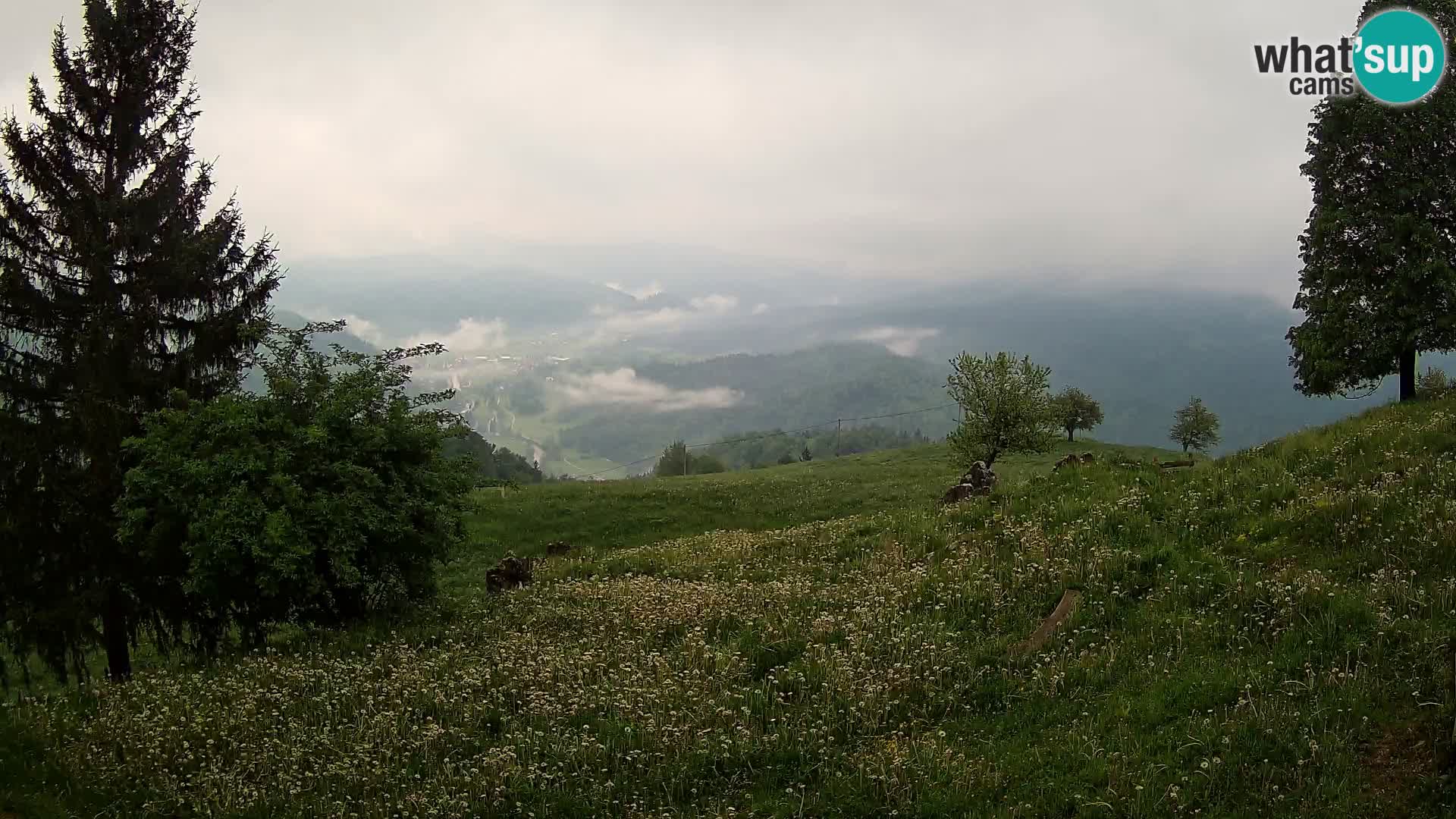 Slajka webam | Gorenja vas | Slovenia
