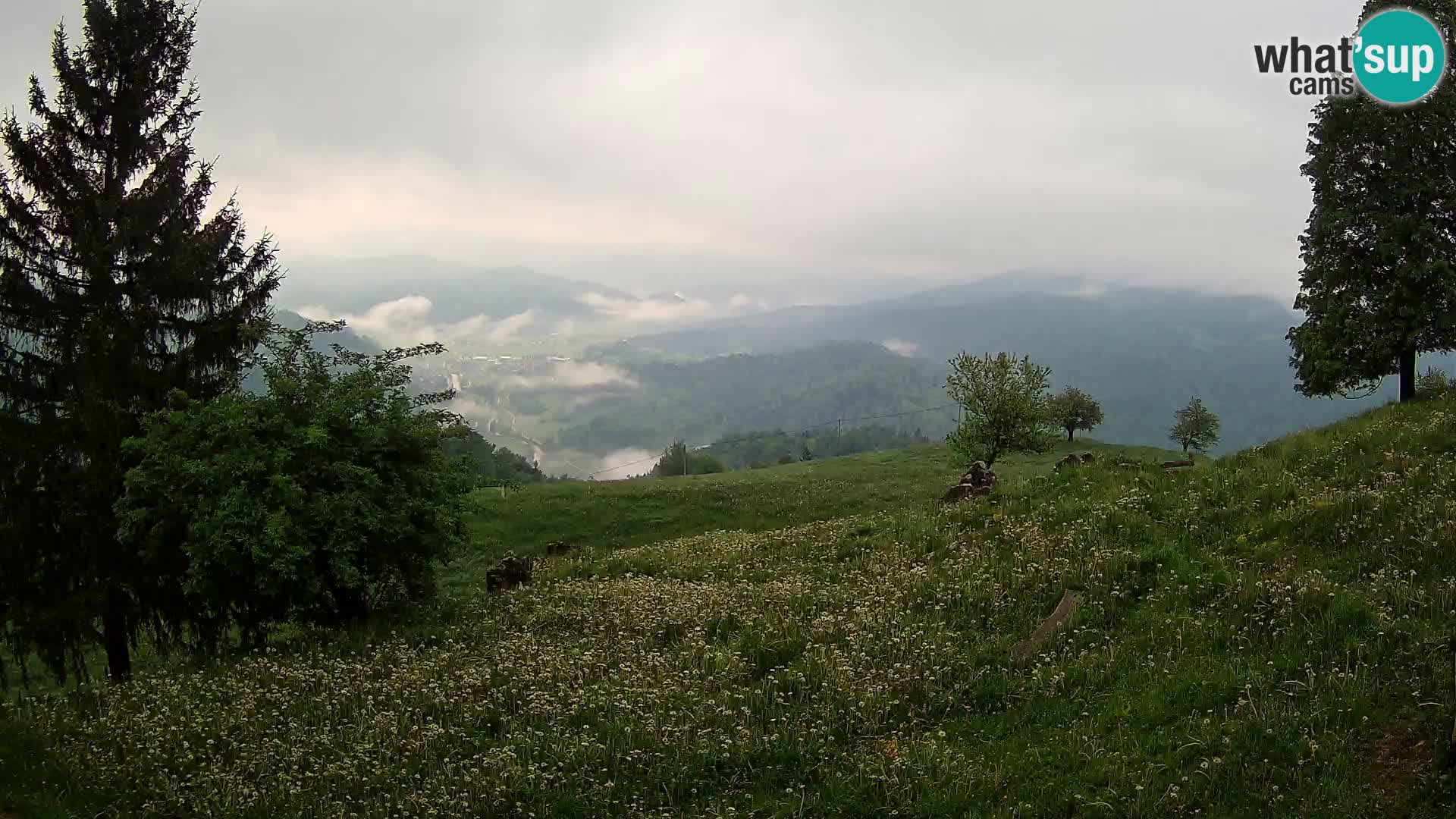 Slajka webam | Gorenja vas | Slovenia