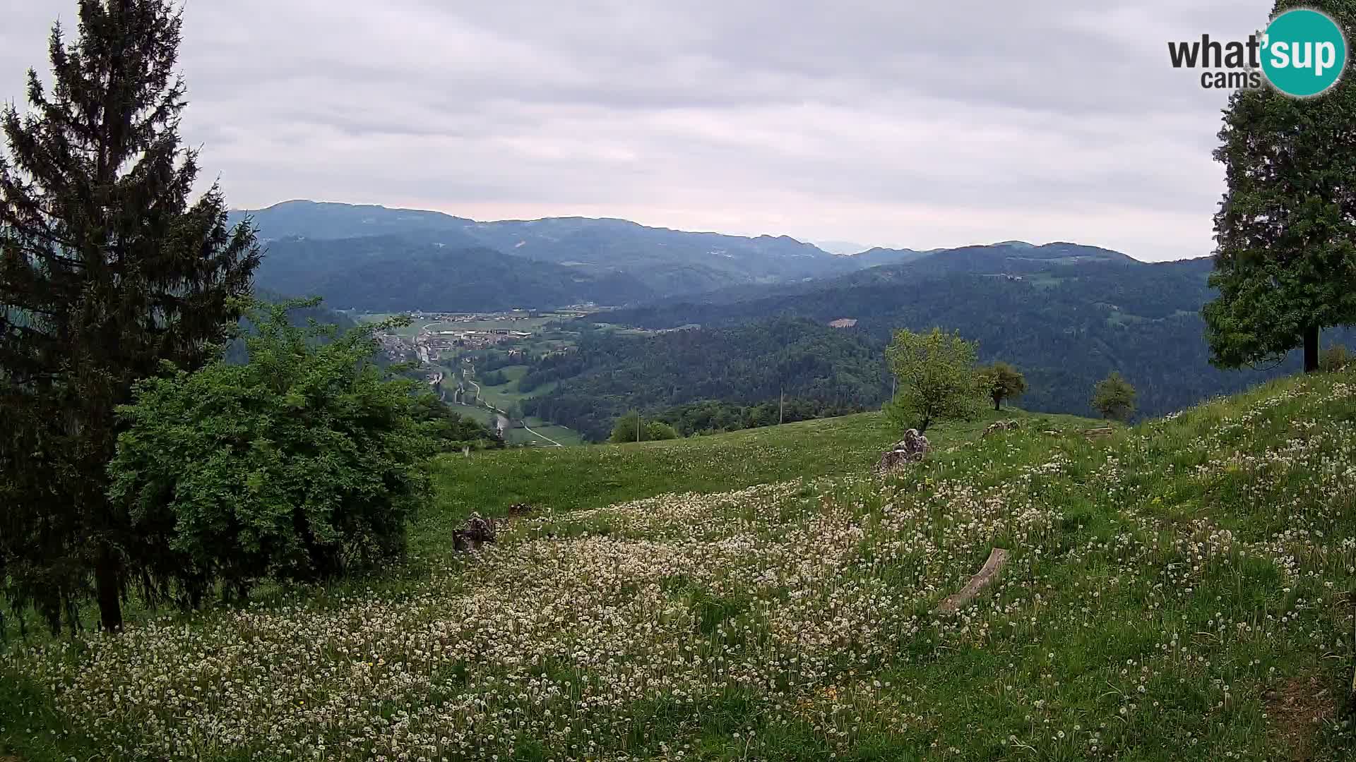 Slajka webam | Gorenja vas | Slovenia