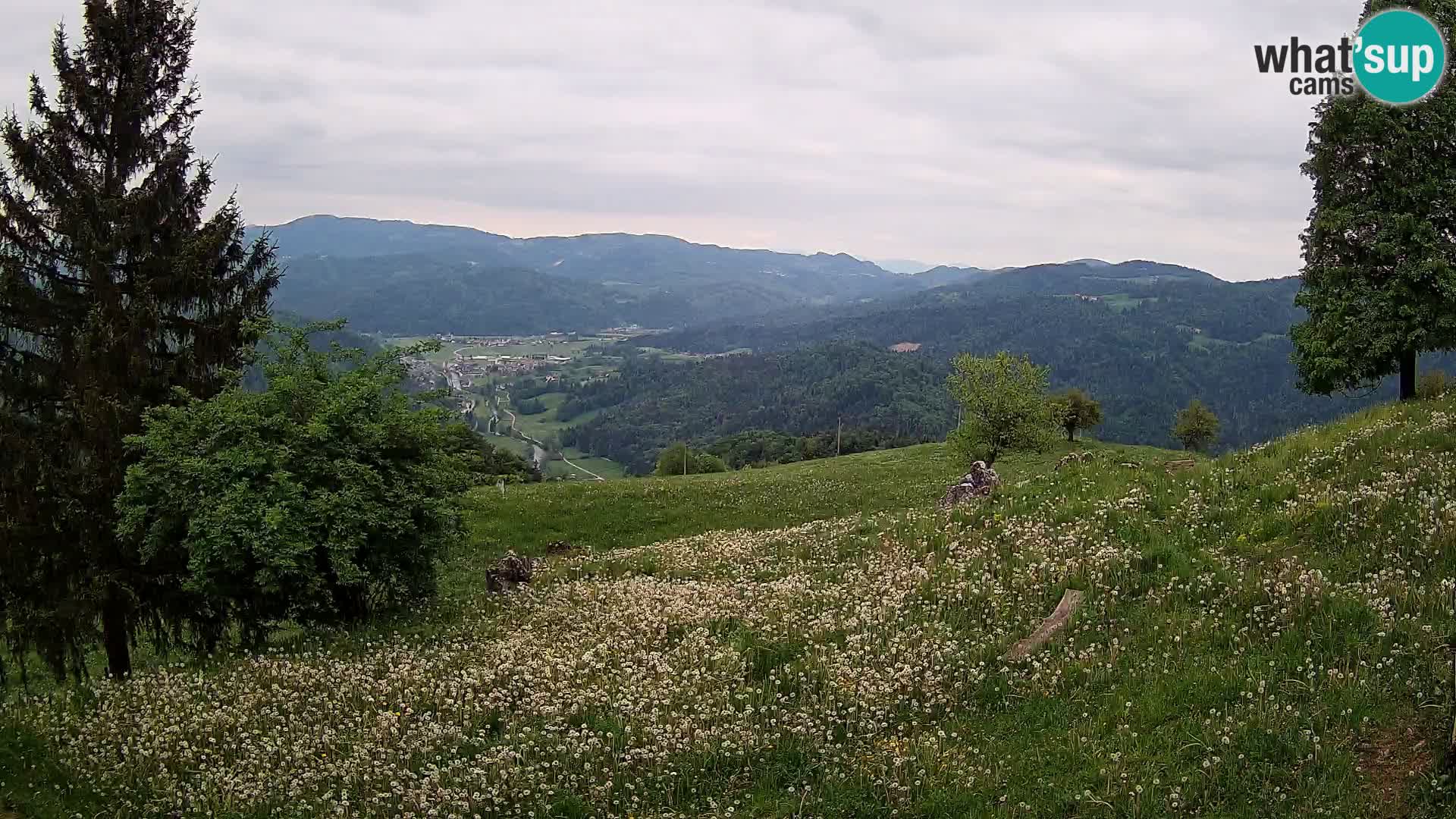 Slajka livecam | Gorenja Vas | Slovénie