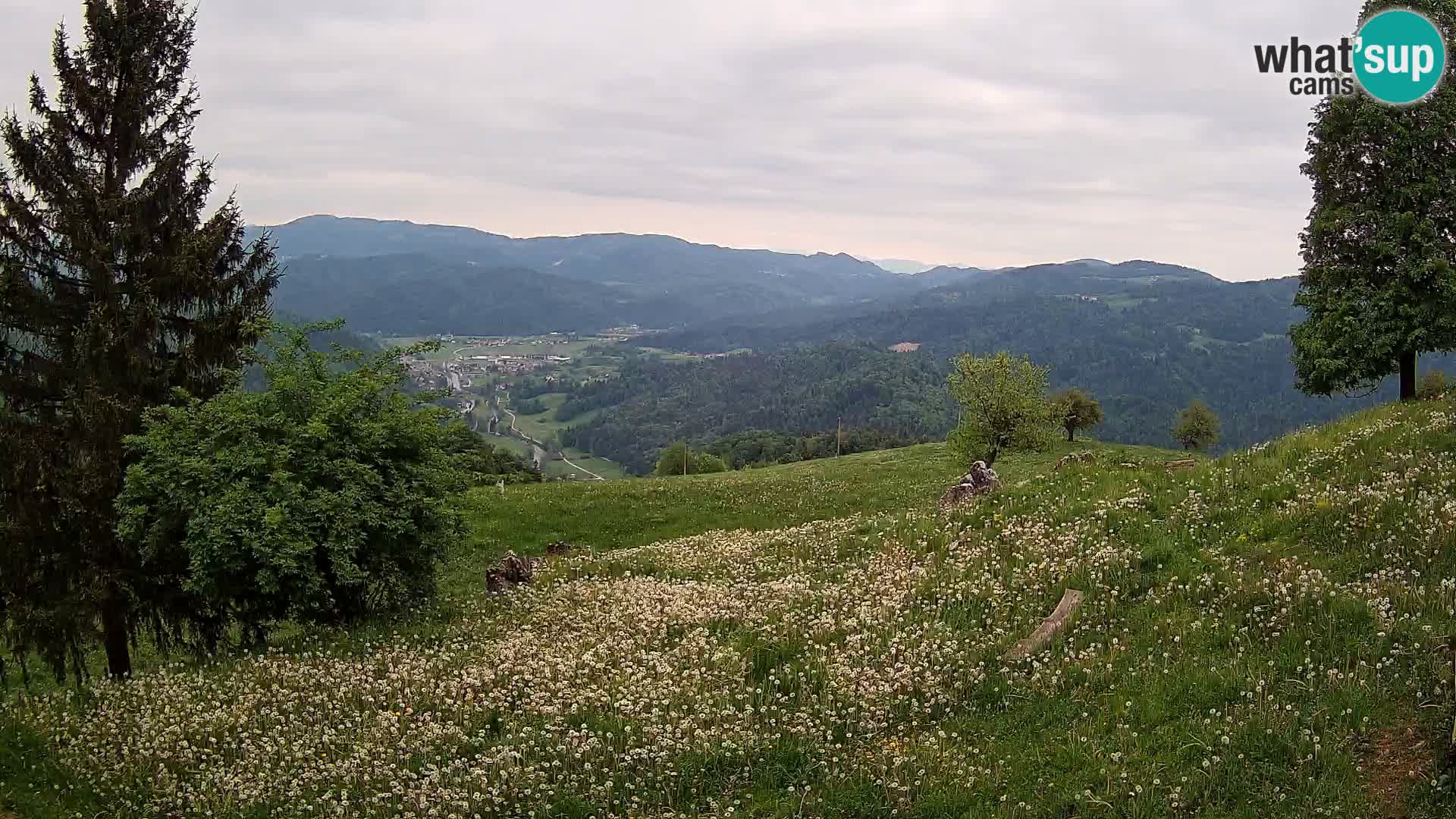 Slajka webam | Gorenja vas | Slovenia