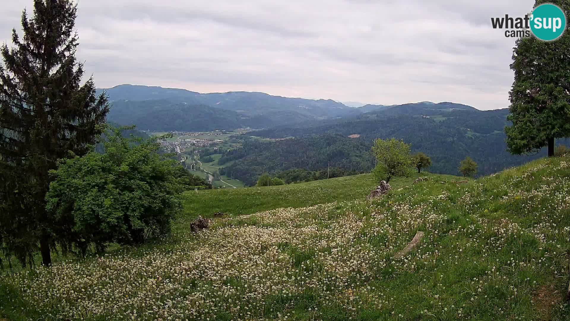 Slajka webcam | Gorenja Vas | Slowenien