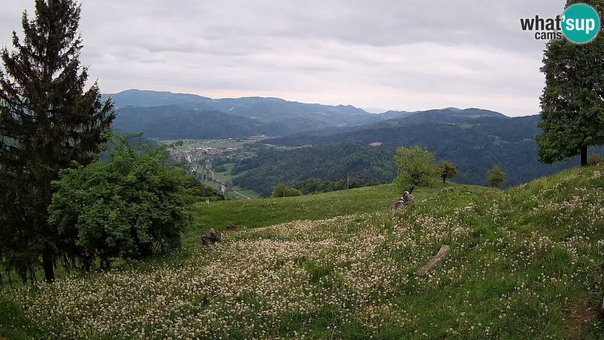 Slajka camera en vivo | Gorenja Vas | Eslovenia