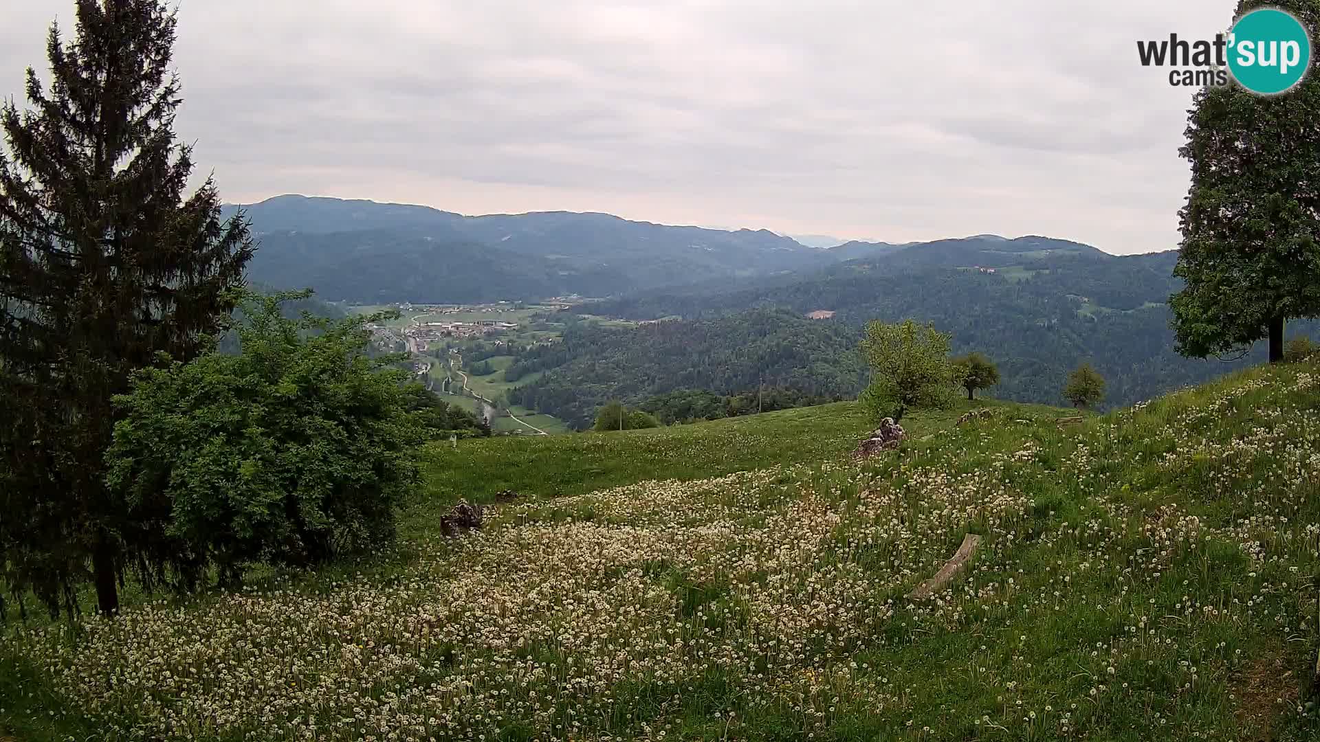 Slajka webam | Gorenja vas | Slovenia