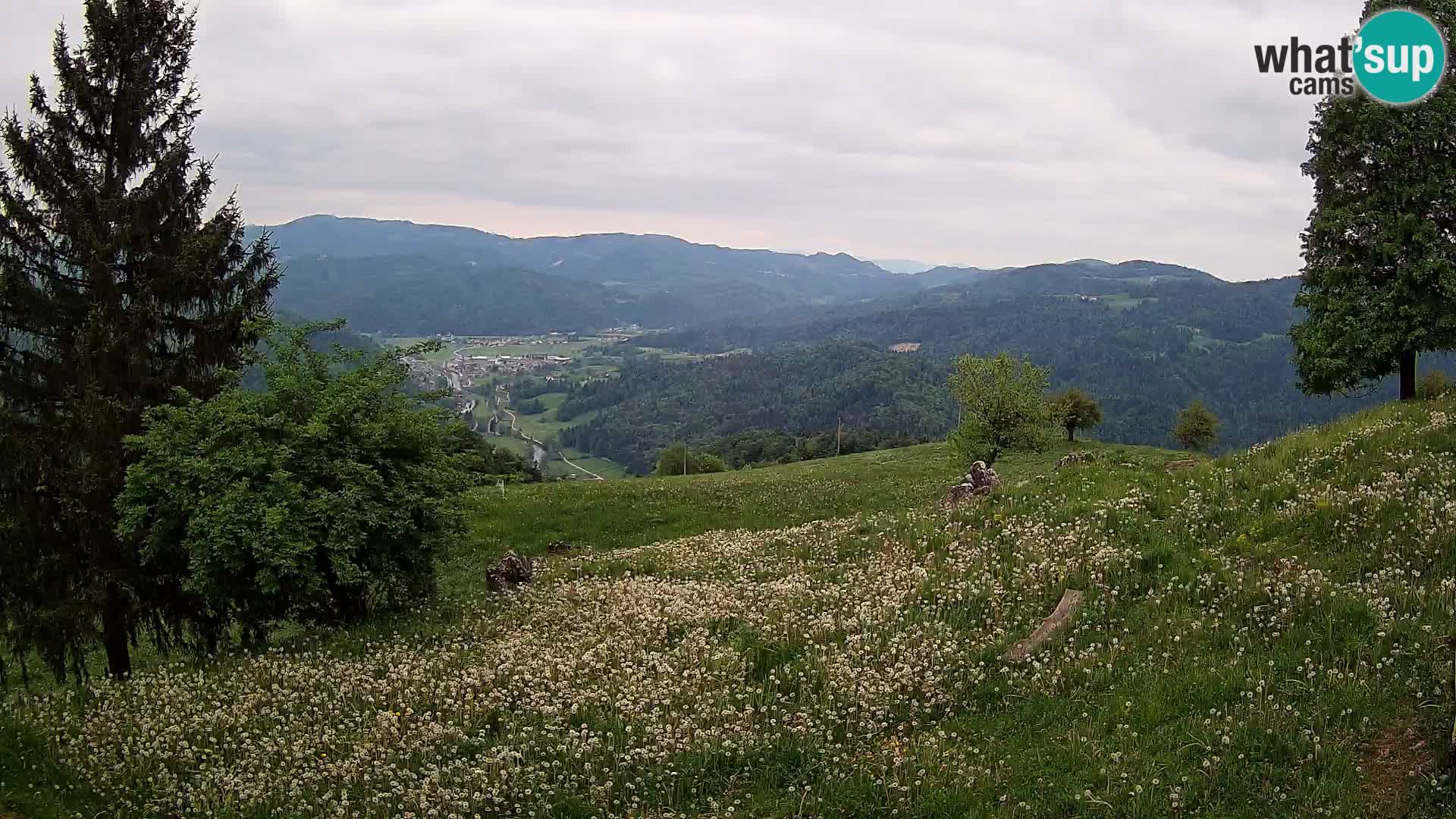 Slajka webam | Gorenja vas | Slovenia