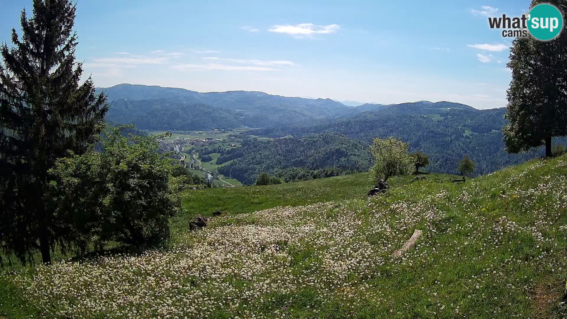 Slajka webam | Gorenja vas | Slovenia