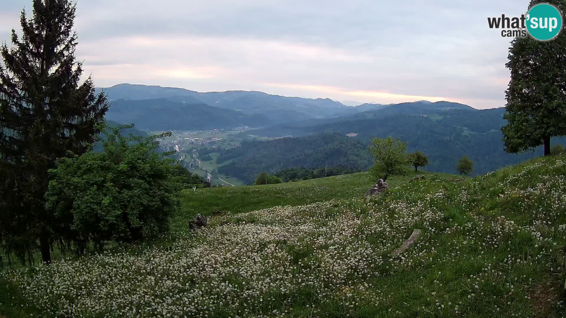 Slajka webam | Gorenja vas | Slovenia
