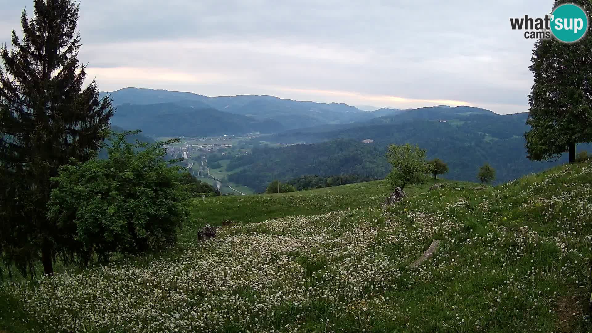 Slajka camera en vivo | Gorenja Vas | Eslovenia