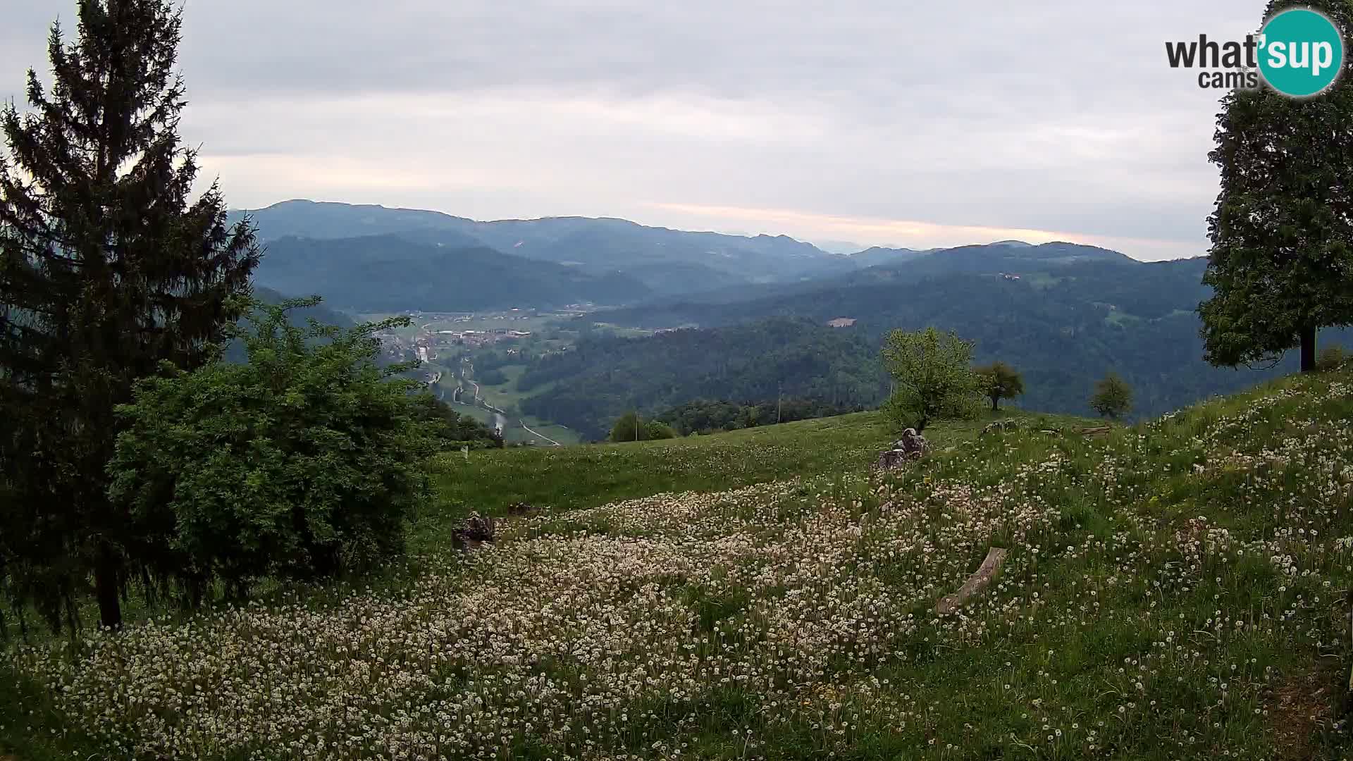 Slajka webcam | Gorenja Vas | Slowenien