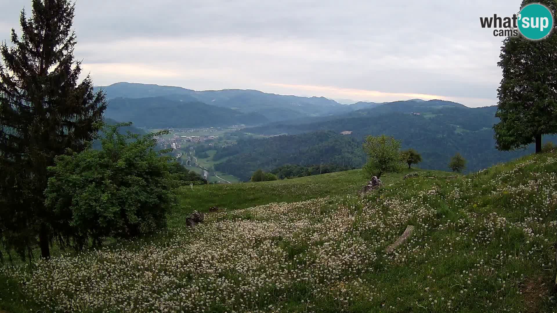 Slajka webam | Gorenja vas | Slovenia