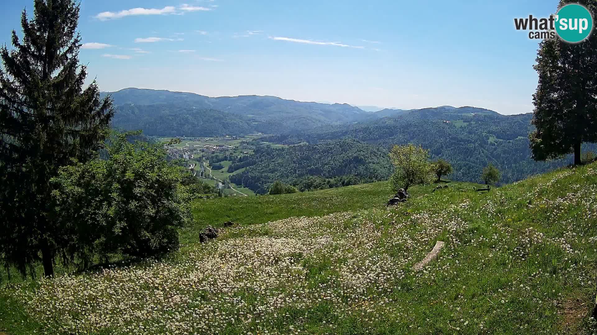 Slajka camera en vivo | Gorenja Vas | Eslovenia