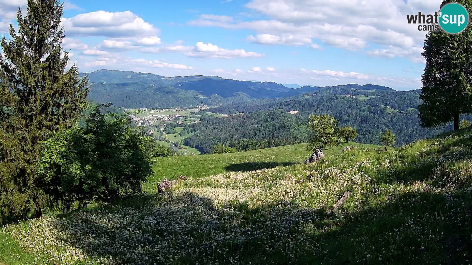 Slajka livecam | Gorenja Vas | Slovénie