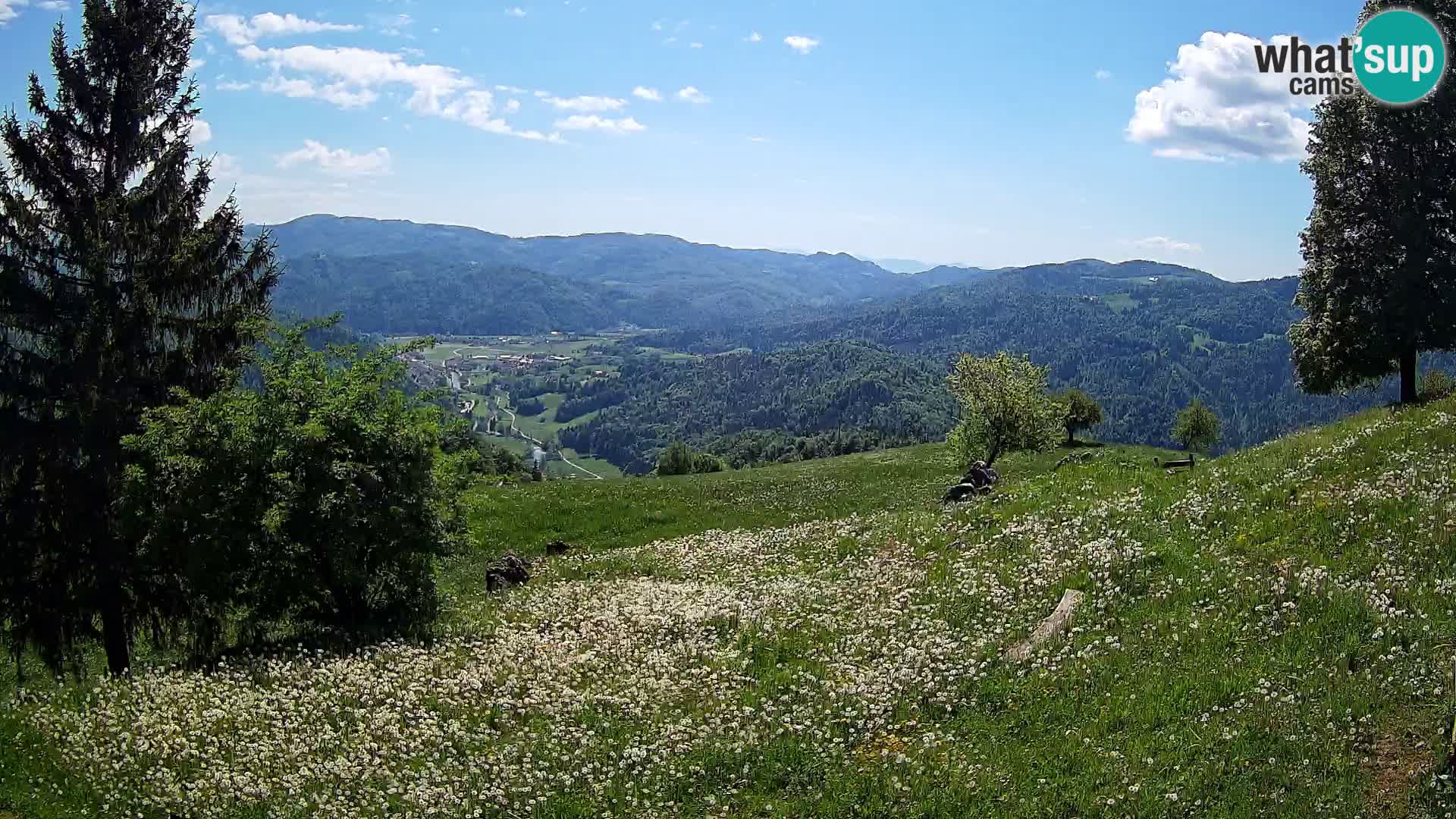 Slajka webam | Gorenja vas | Slovenia