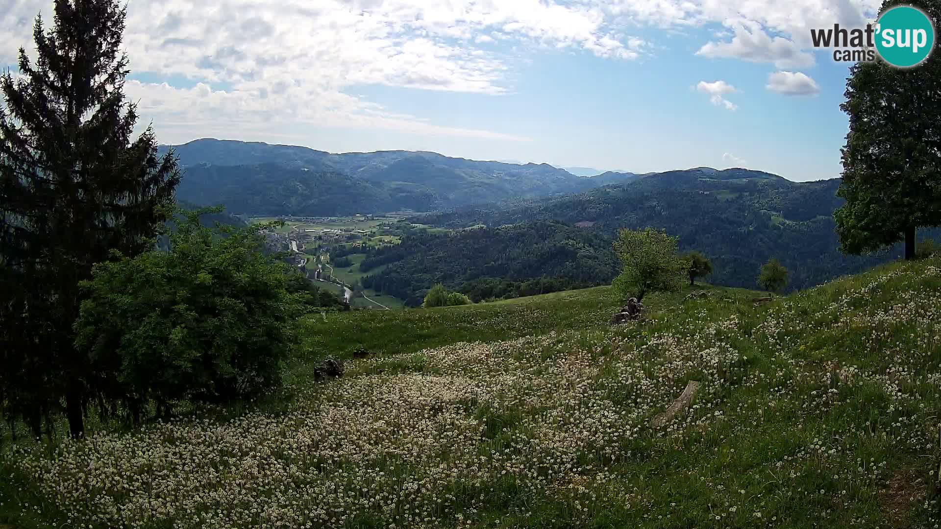 Slajka livecam | Gorenja Vas | Slovénie