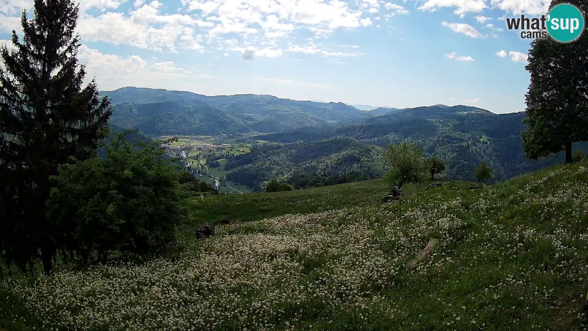 Slajka webam | Gorenja vas | Slovenia
