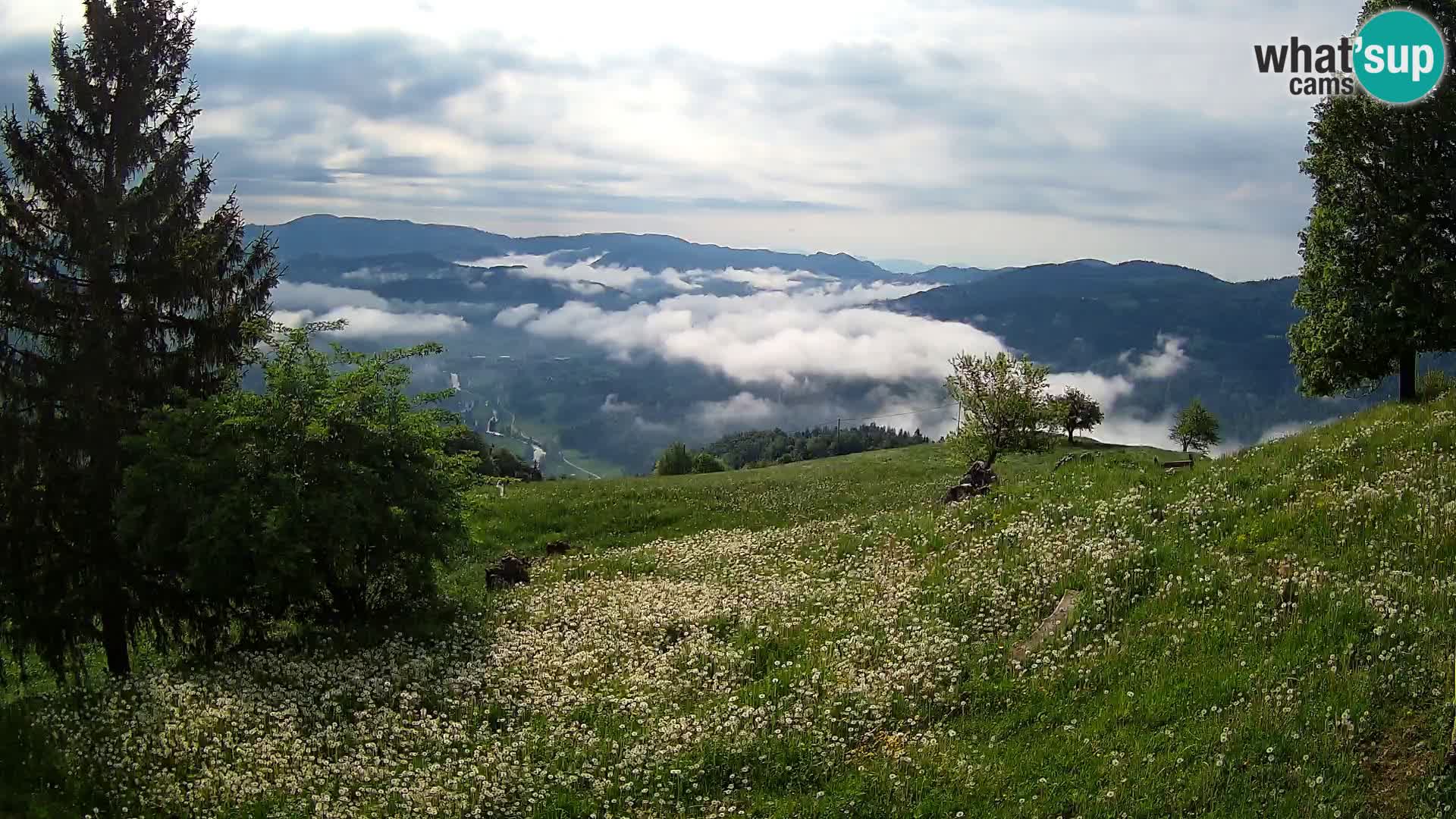 Slajka webam | Gorenja vas | Slovenia
