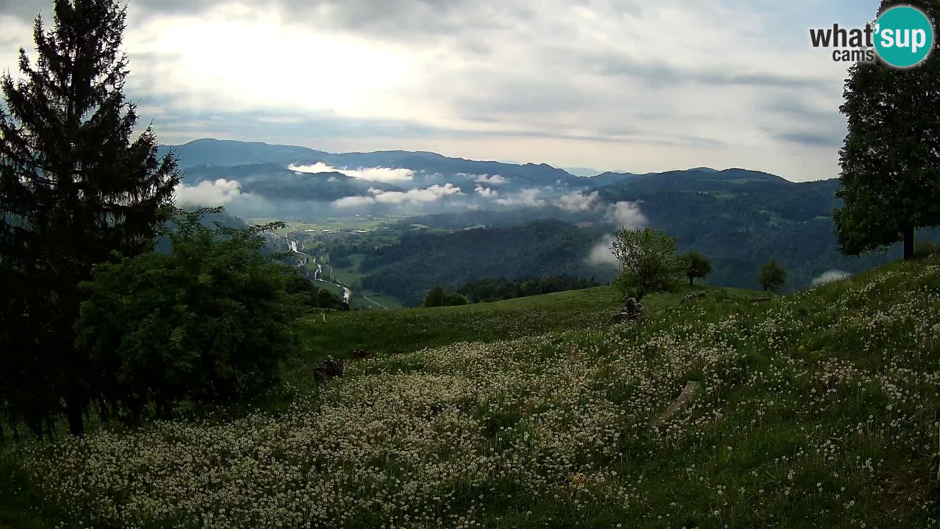 Slajka webam | Gorenja vas | Slovenia