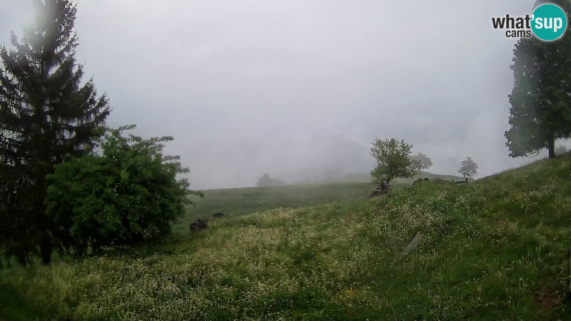 Slajka camera en vivo | Gorenja Vas | Eslovenia