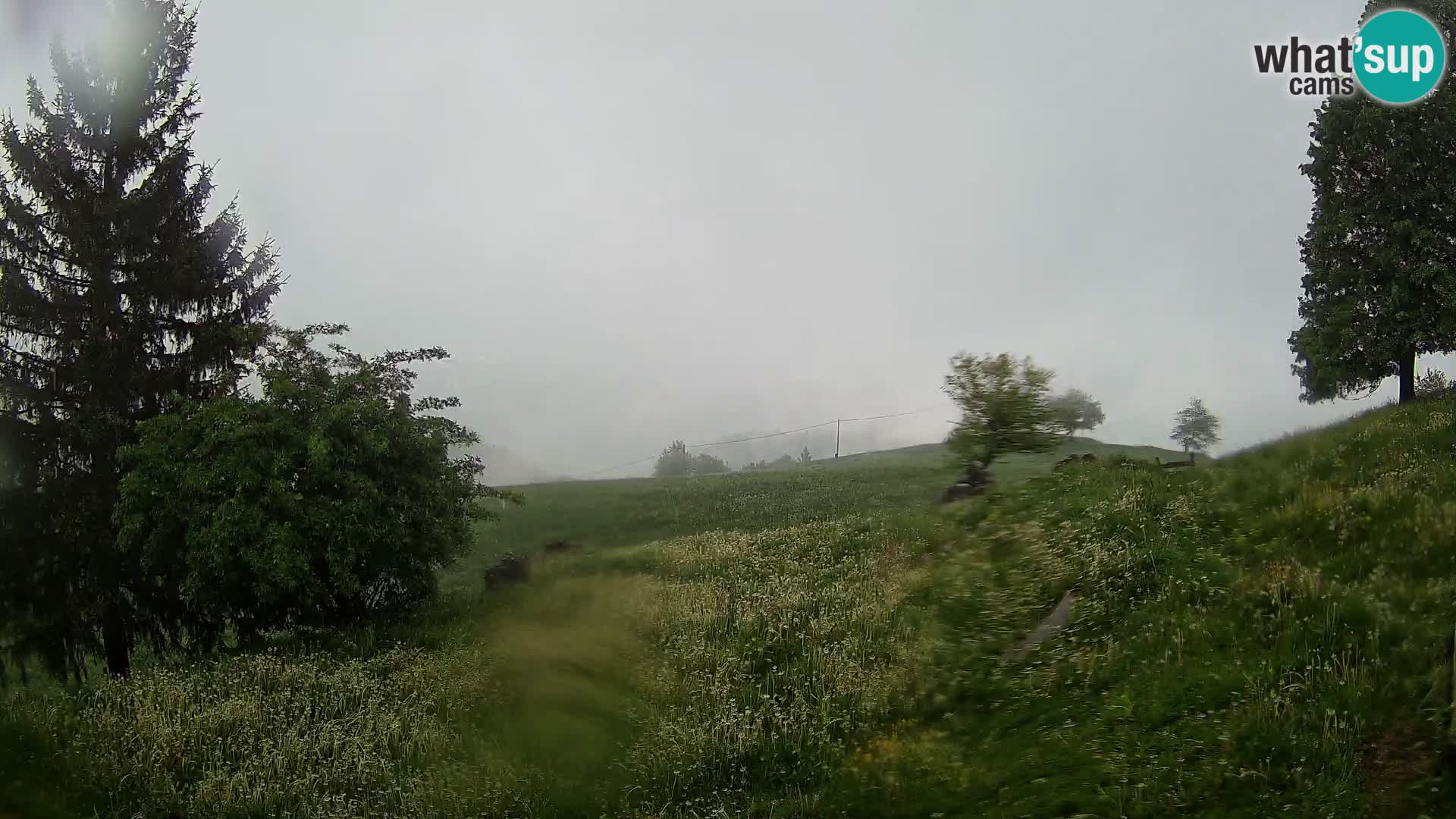 Slajka livecam | Gorenja Vas | Slovénie