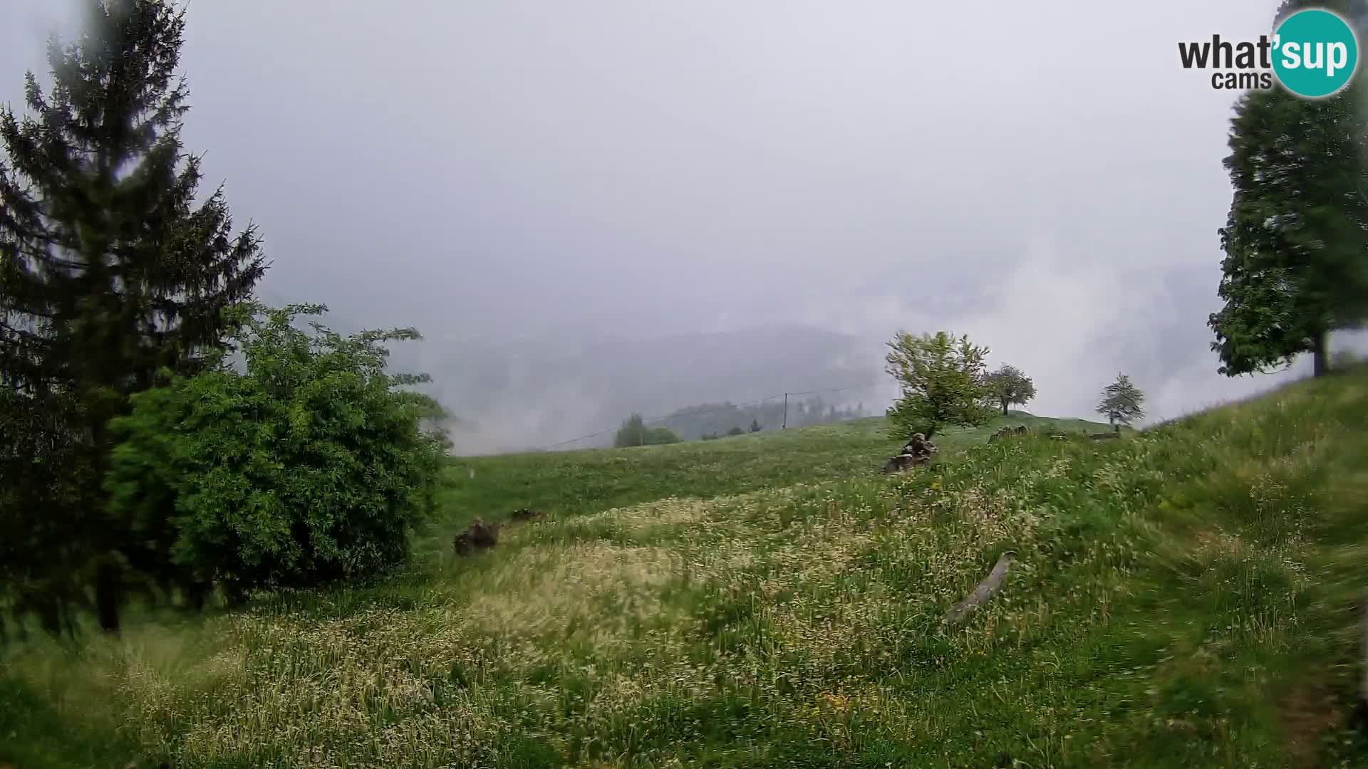 Slajka livecam | Gorenja Vas | Slovénie