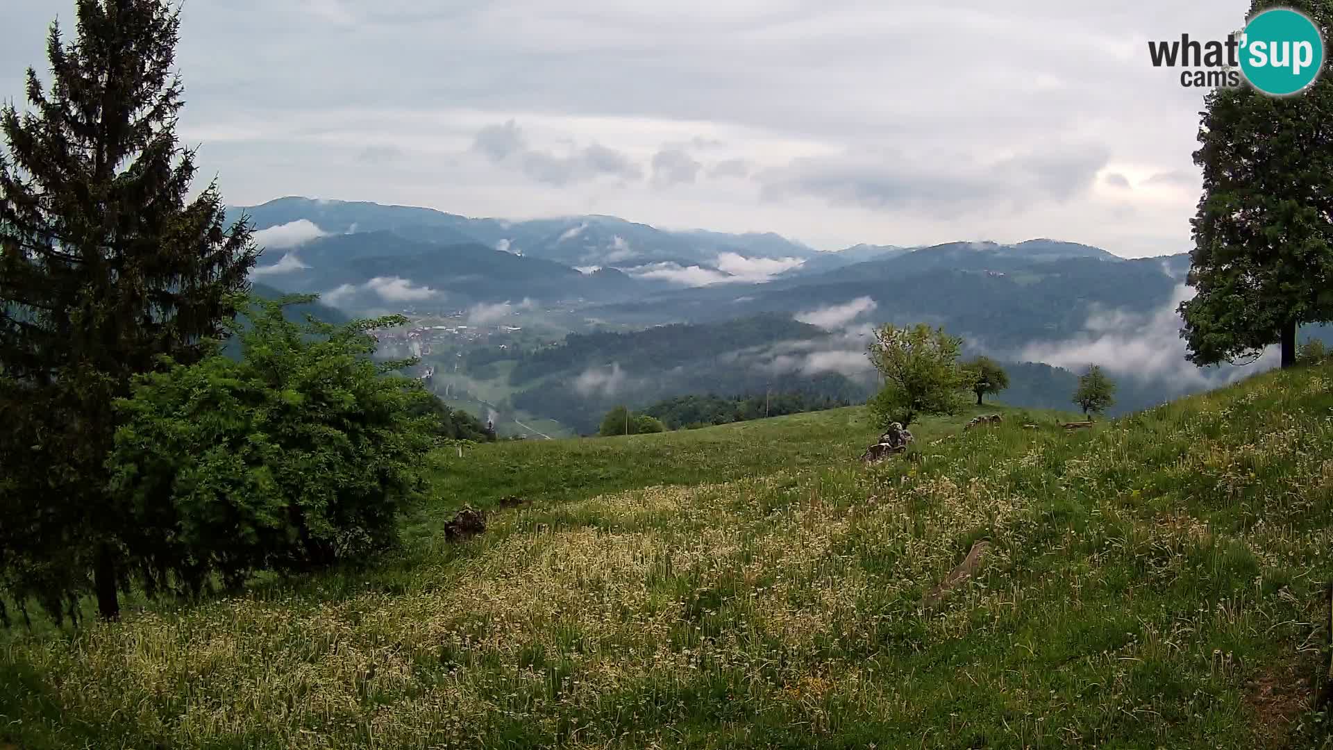 Slajka webam | Gorenja vas | Slovenia