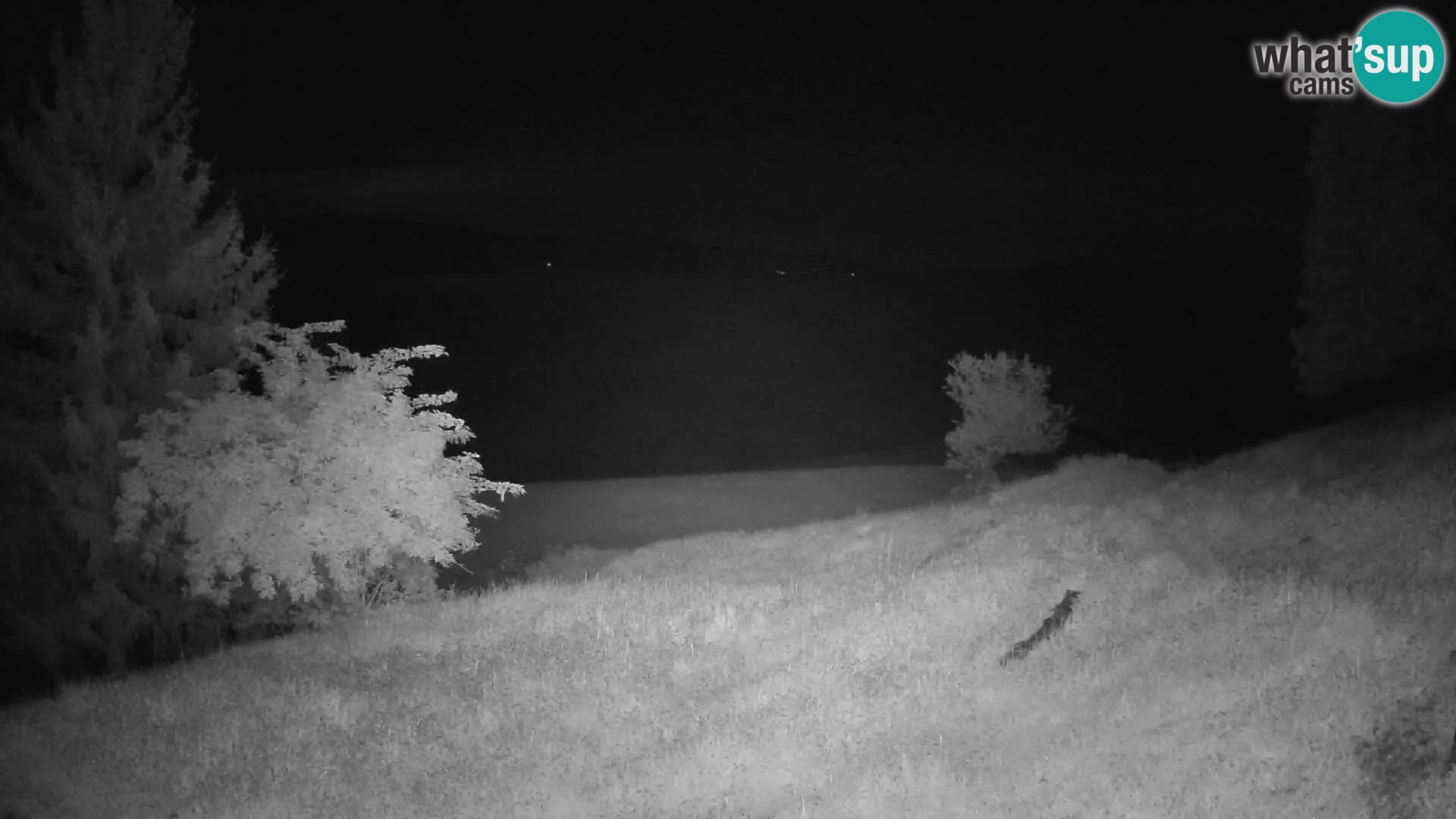 Slajka webcam | Gorenja Vas | Slowenien