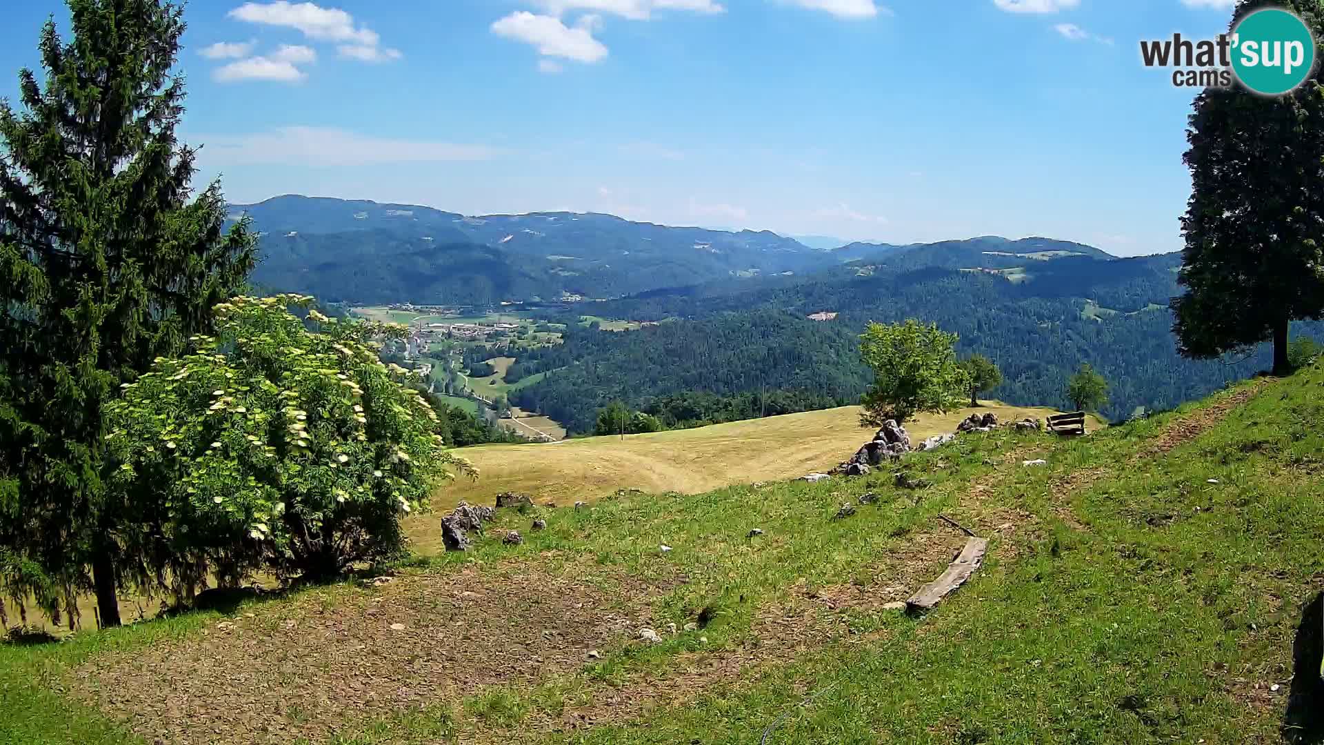 Slajka livecam | Gorenja Vas | Slovénie