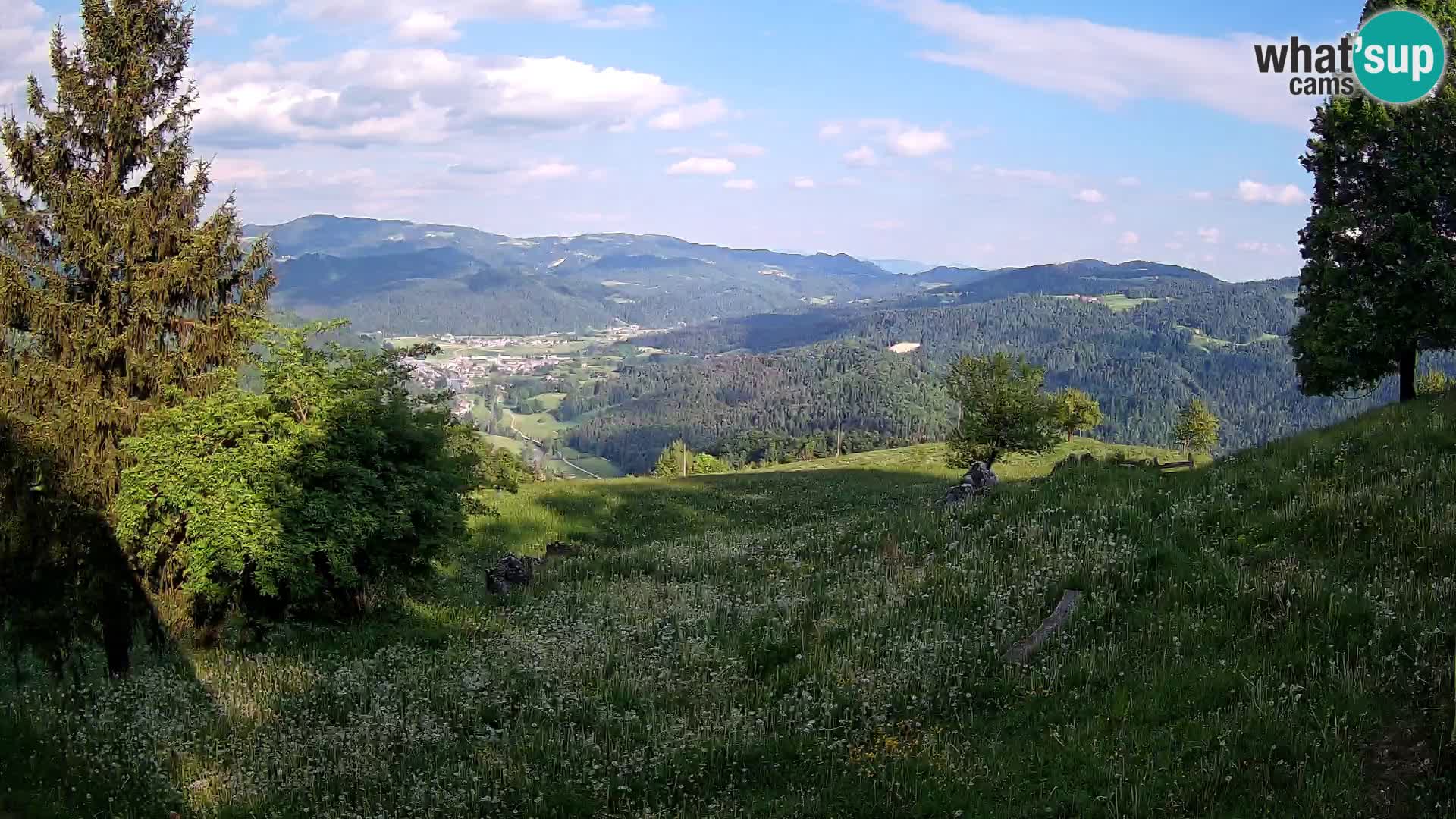 Slajka camera en vivo | Gorenja Vas | Eslovenia