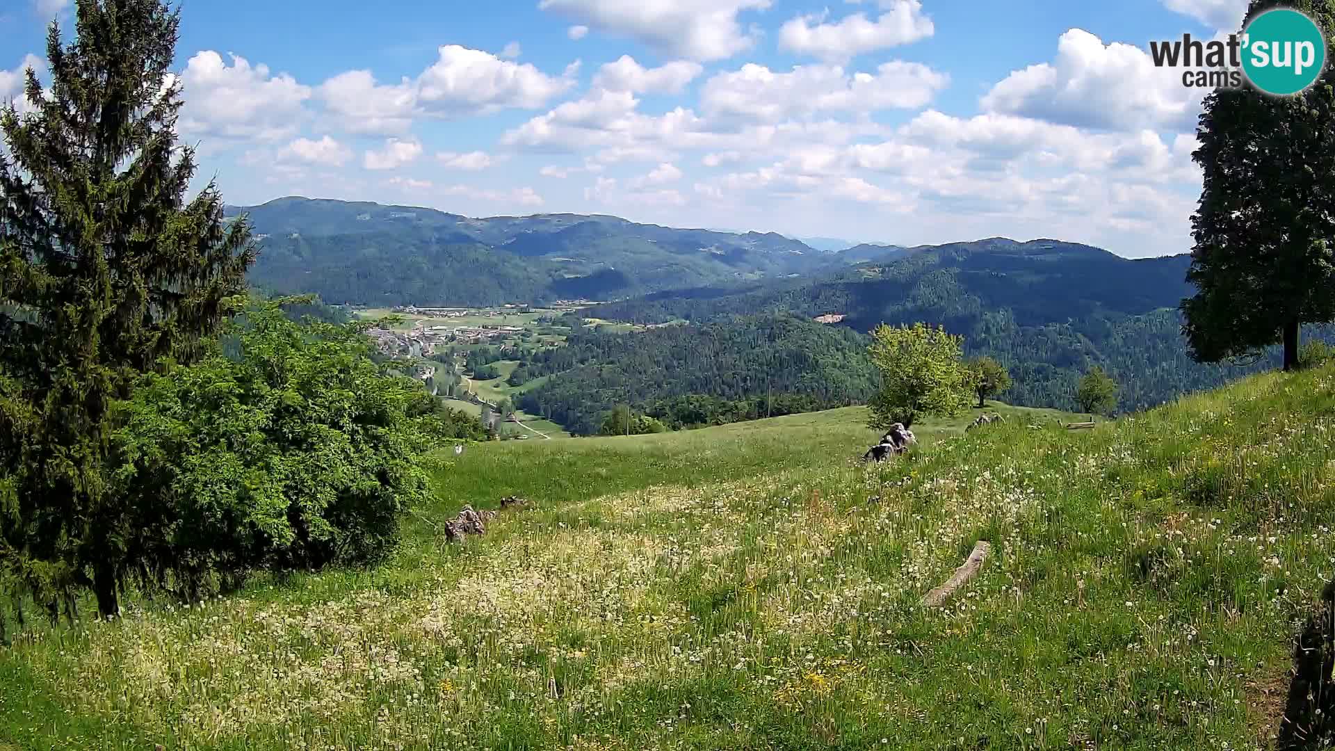 Slajka camera en vivo | Gorenja Vas | Eslovenia