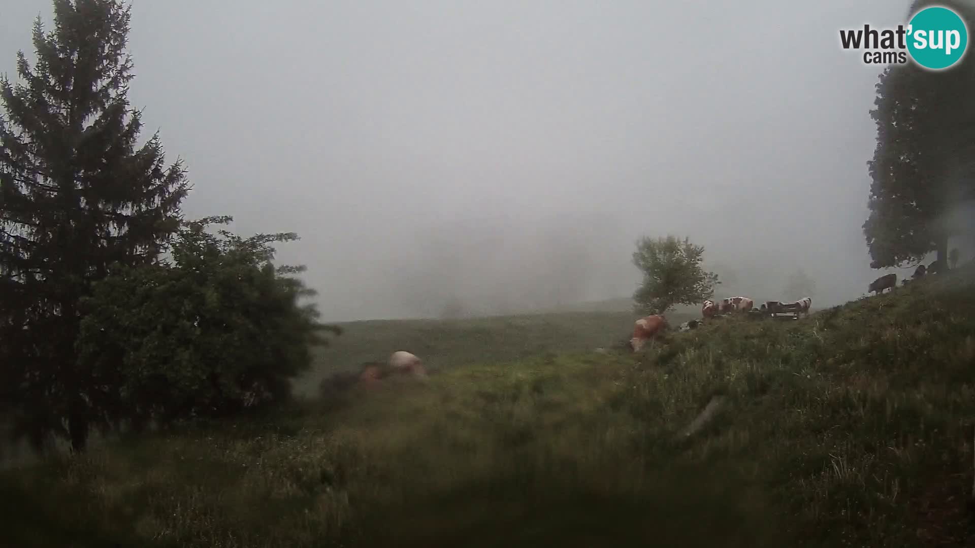 Slajka webcam | Gorenja Vas | Slowenien