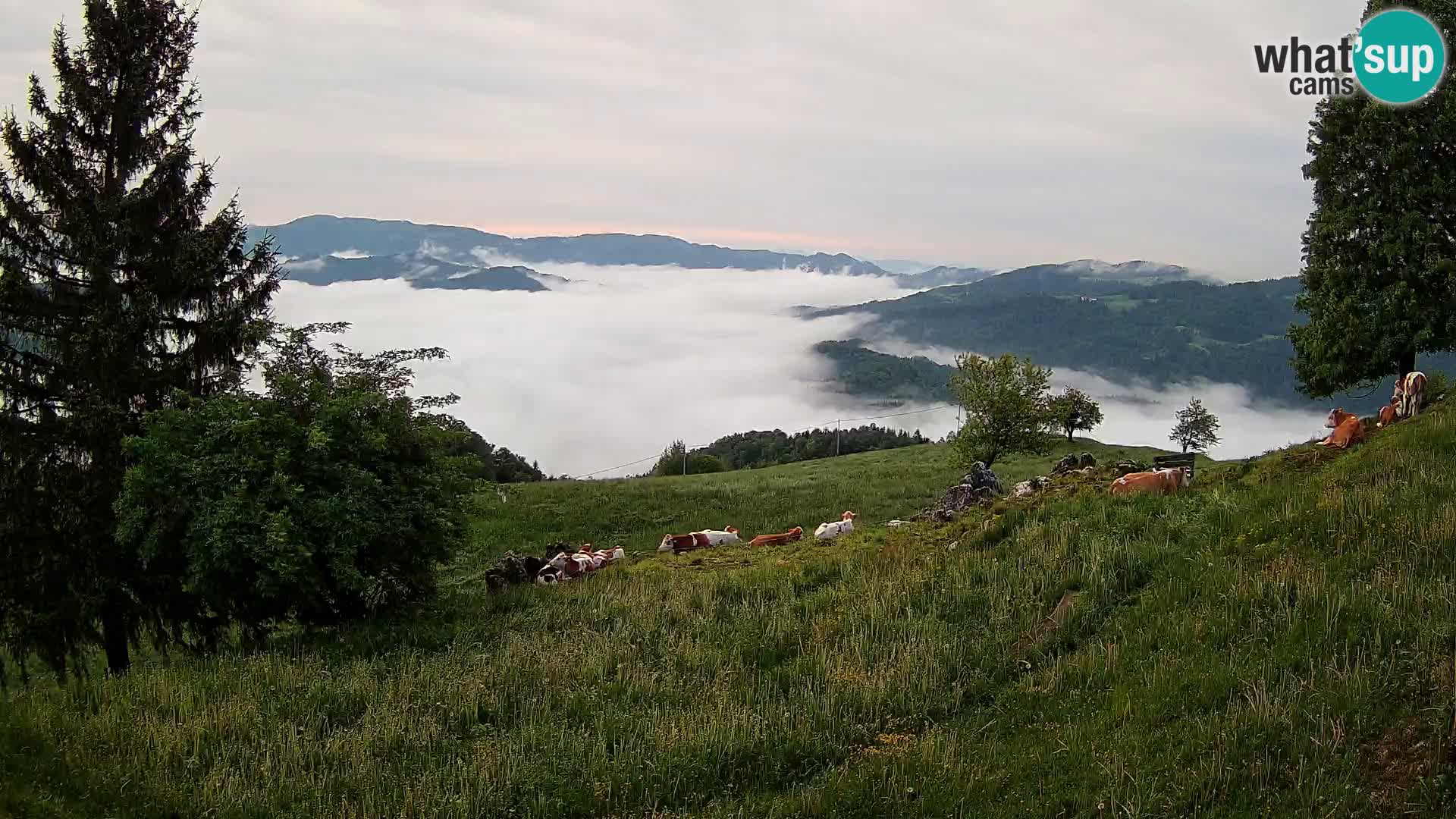 Slajka webcam | Gorenja Vas | Slowenien