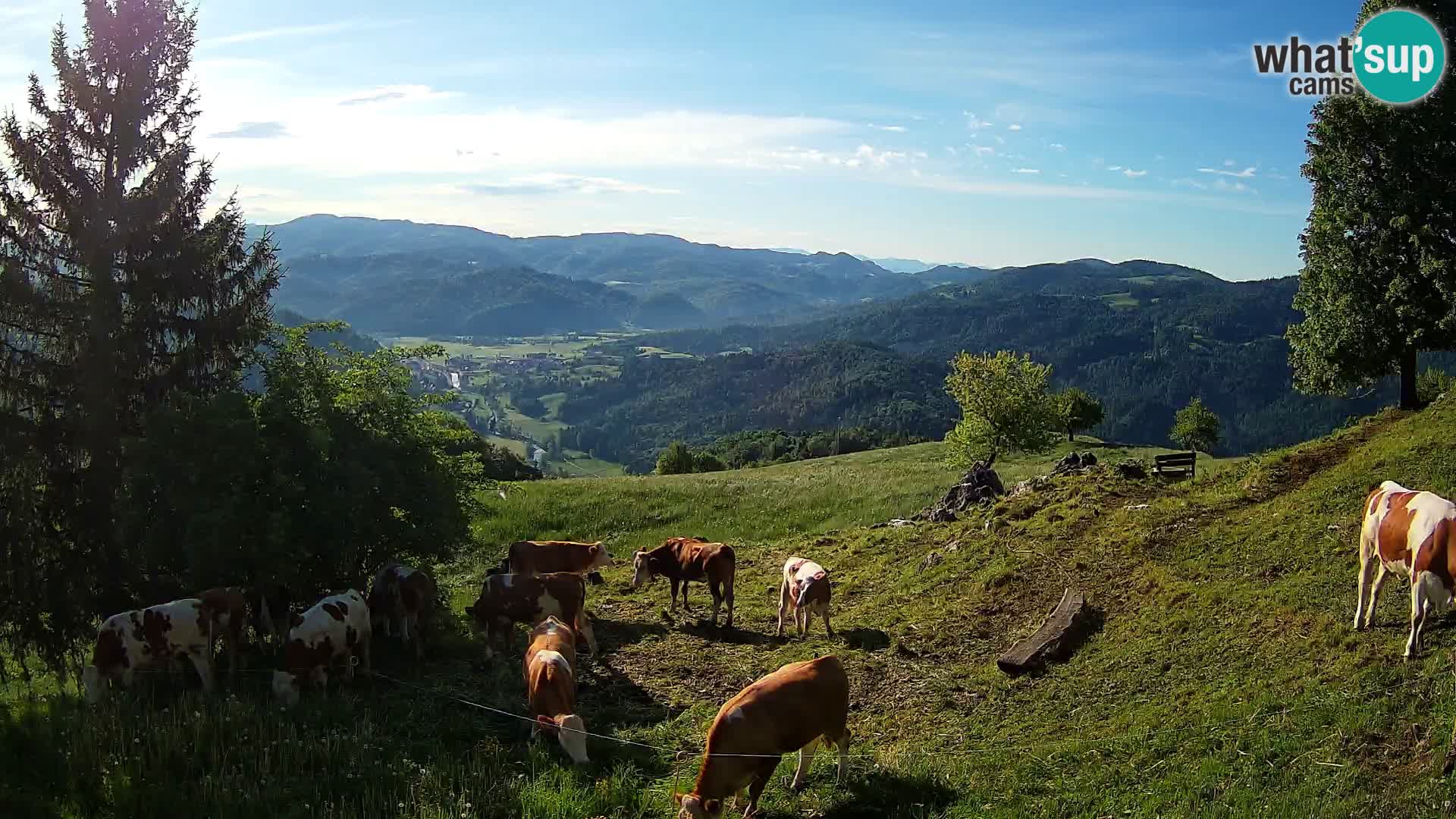 Slajka webcam | Gorenja Vas | Slowenien