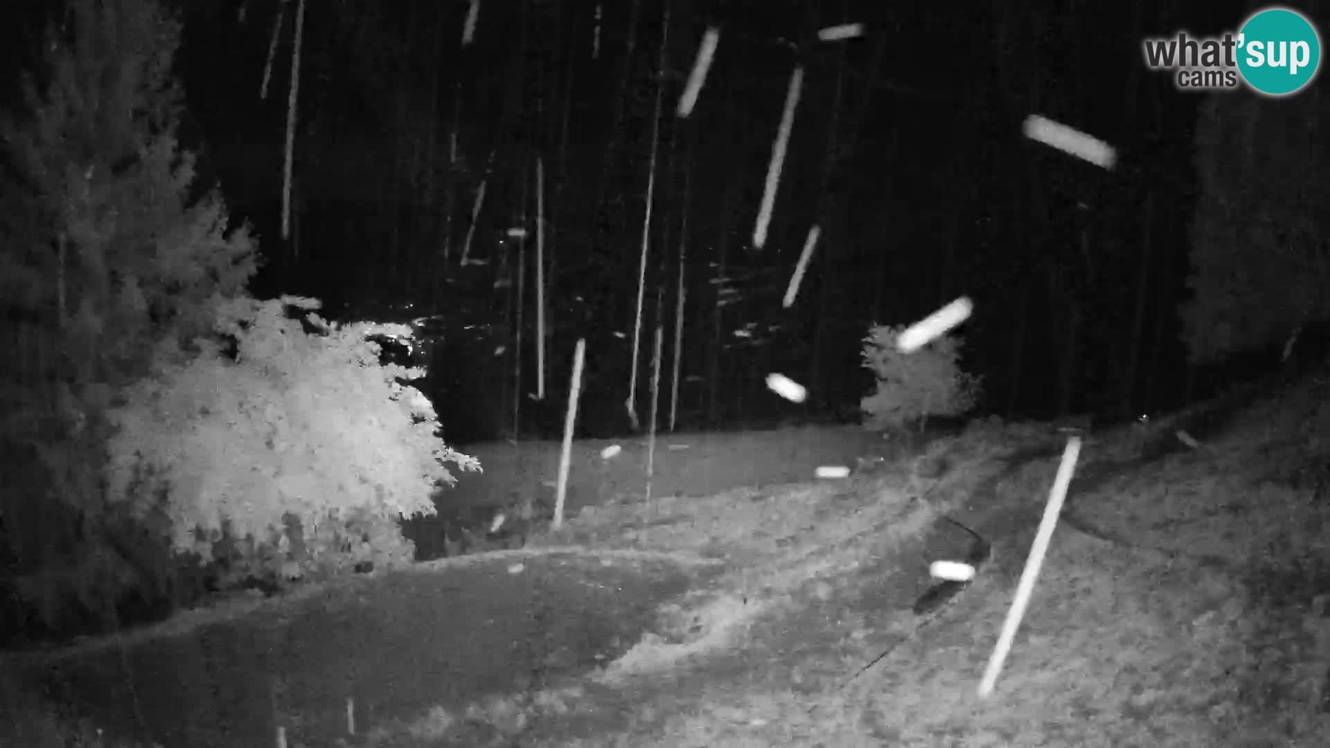 Slajka camera en vivo | Gorenja Vas | Eslovenia