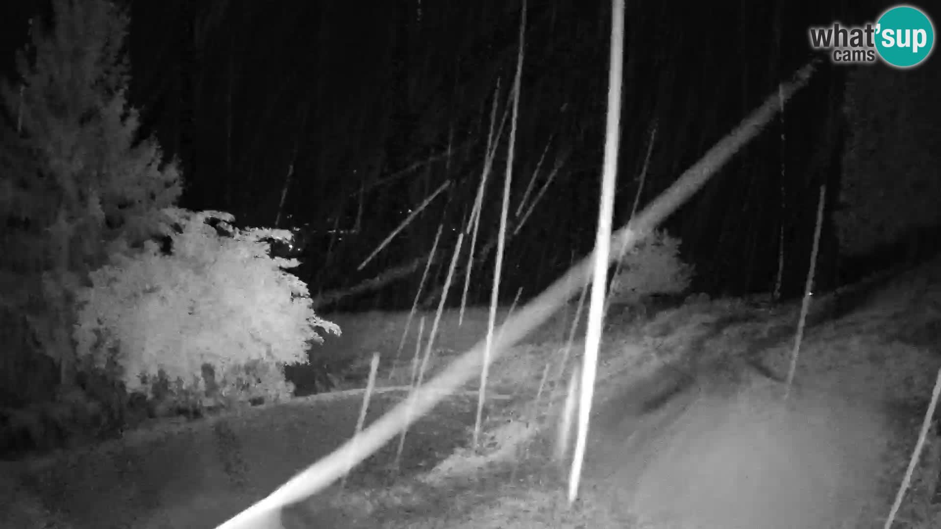 Slajka camera en vivo | Gorenja Vas | Eslovenia