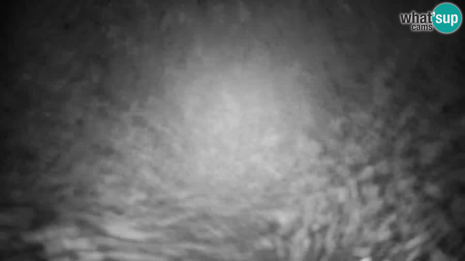 Slajka livecam | Gorenja Vas | Slovénie