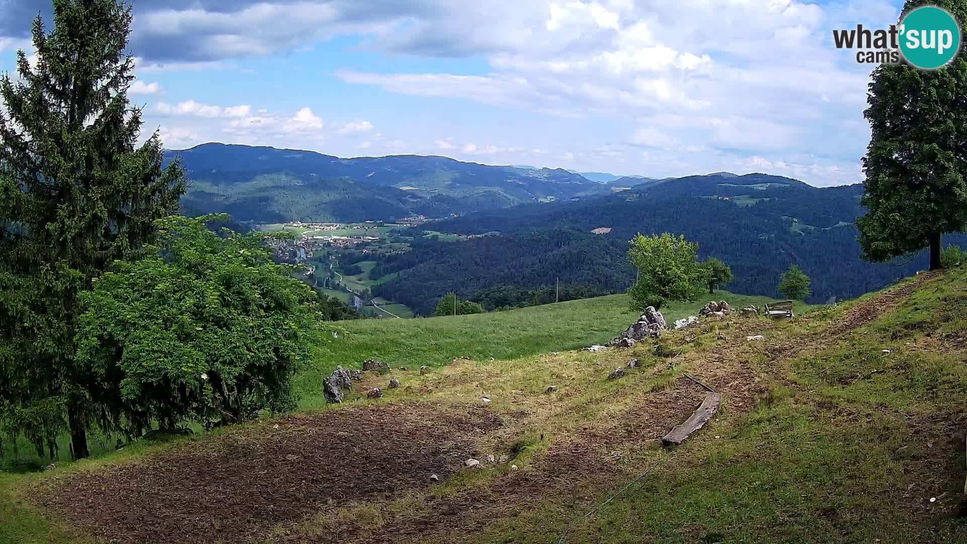 Slajka camera en vivo | Gorenja Vas | Eslovenia