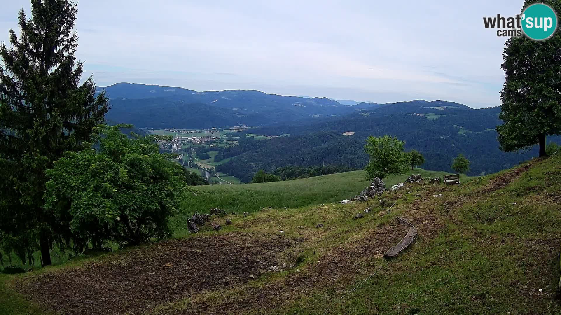 Slajka camera en vivo | Gorenja Vas | Eslovenia