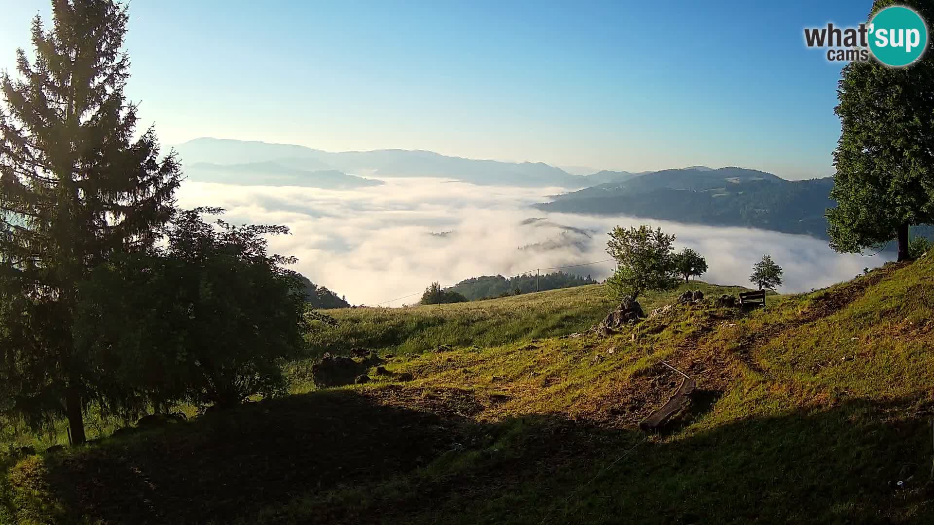 Slajka camera en vivo | Gorenja Vas | Eslovenia
