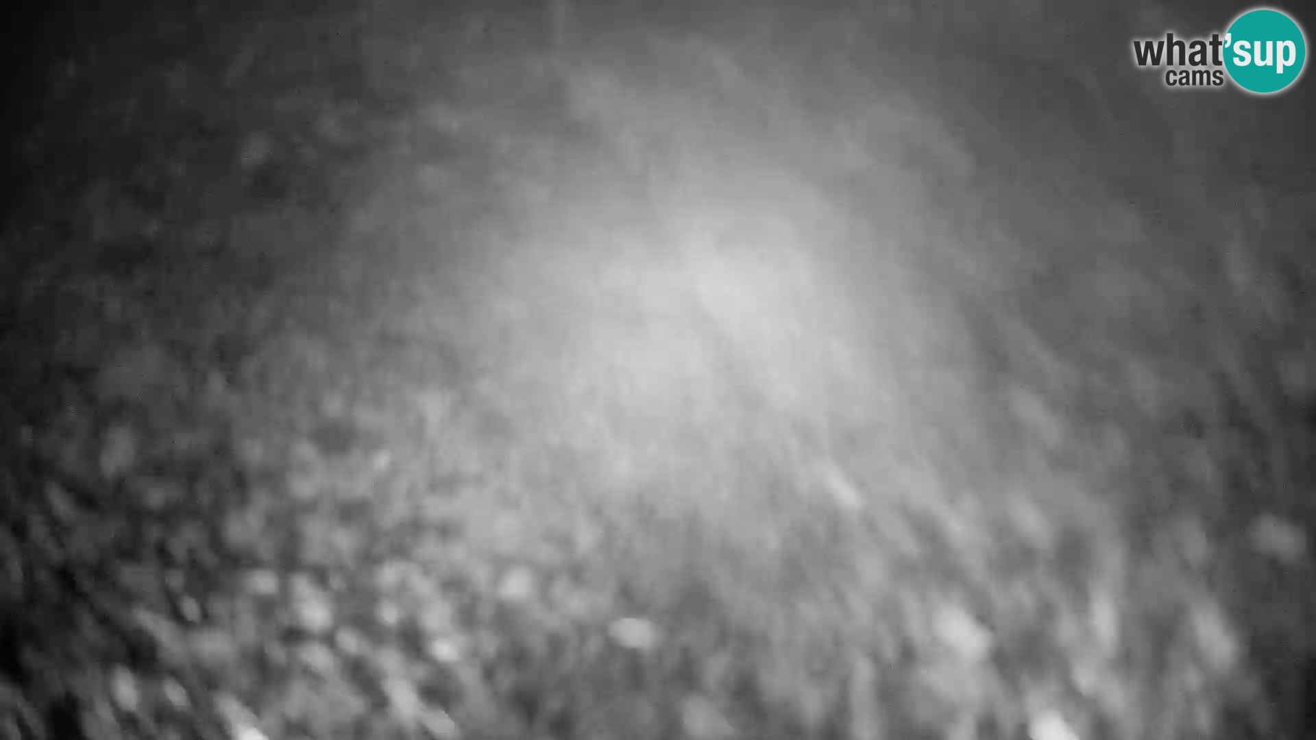 Slajka camera en vivo | Gorenja Vas | Eslovenia