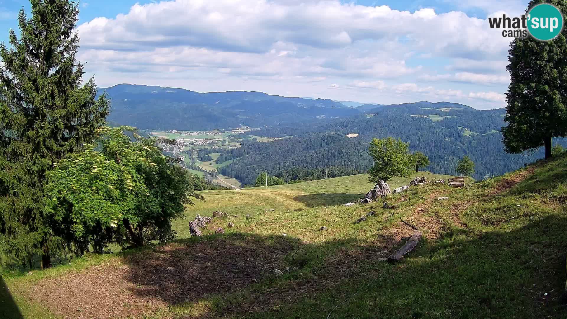 Slajka livecam | Gorenja Vas | Slovénie