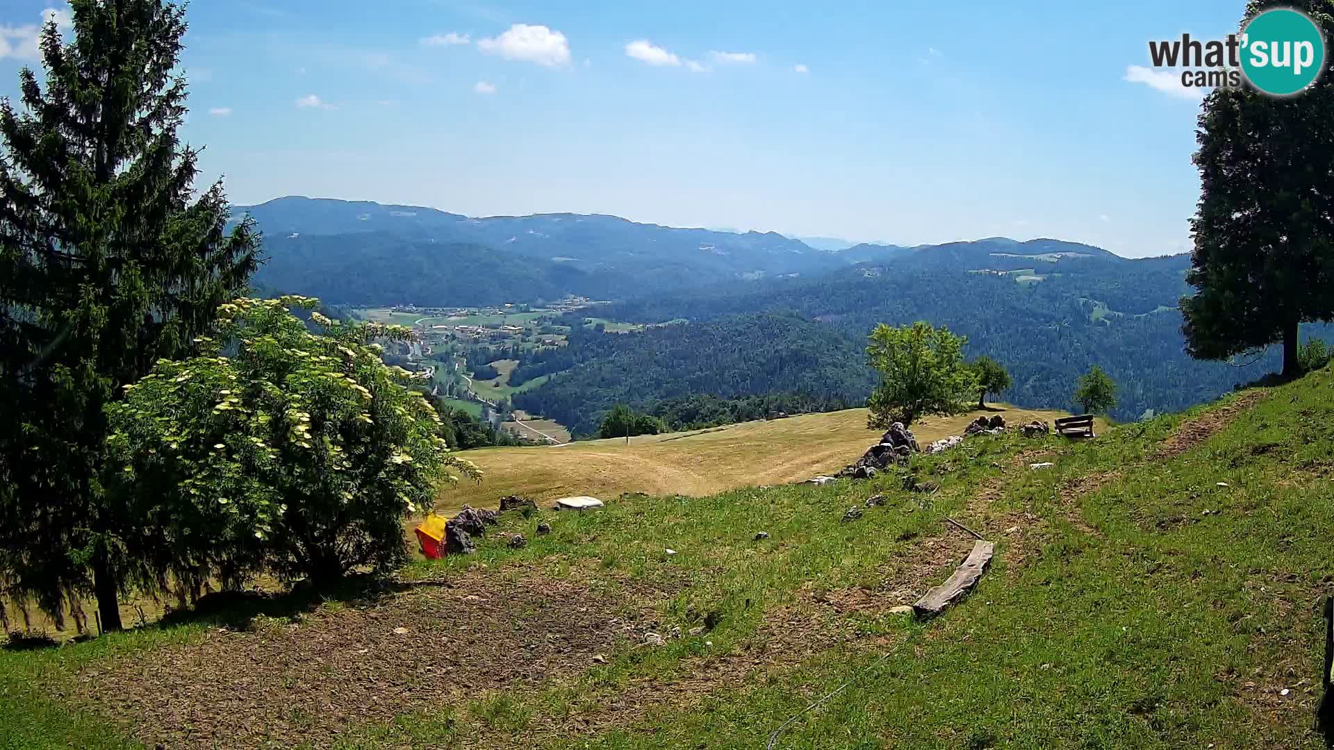 Slajka livecam | Gorenja Vas | Slovénie