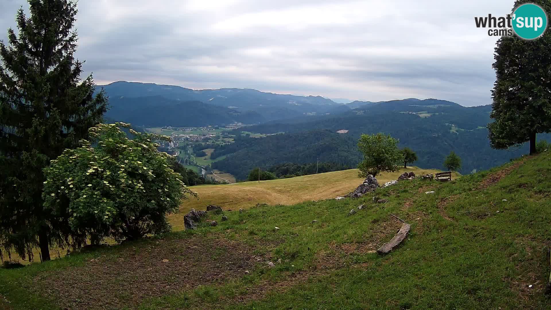 Slajka camera en vivo | Gorenja Vas | Eslovenia