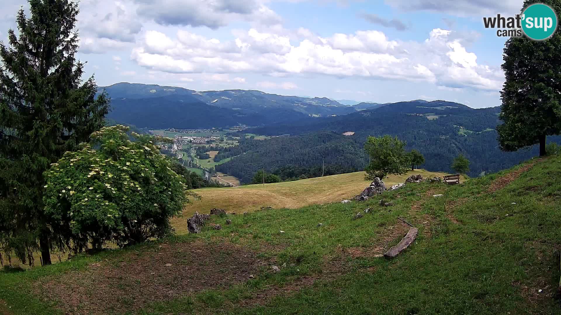 Slajka camera en vivo | Gorenja Vas | Eslovenia