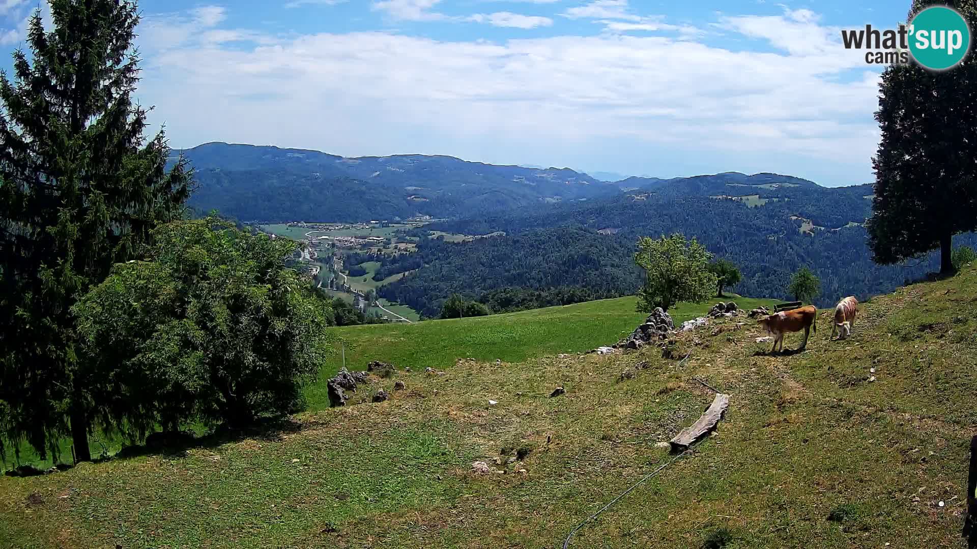 Slajka livecam | Gorenja Vas | Slovénie