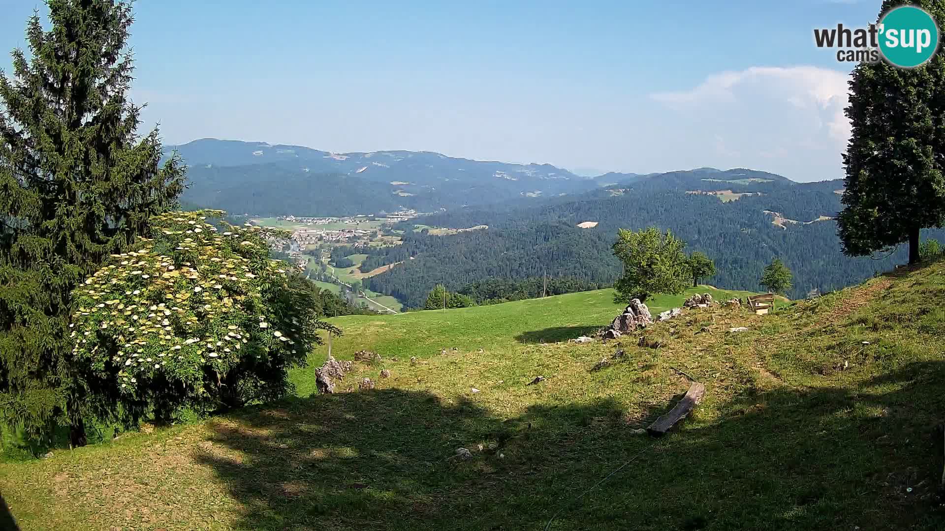Slajka webam | Gorenja vas | Slovenia