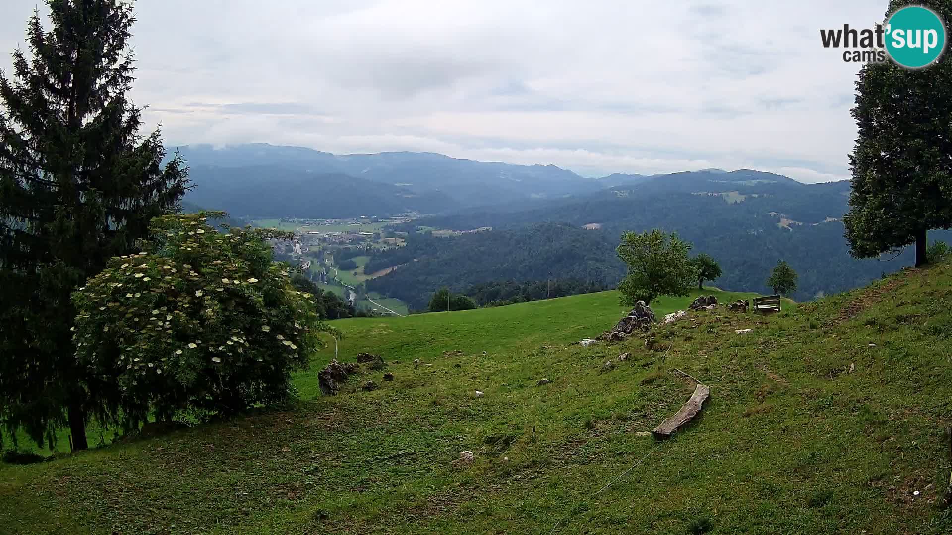 Slajka webam | Gorenja vas | Slovenia