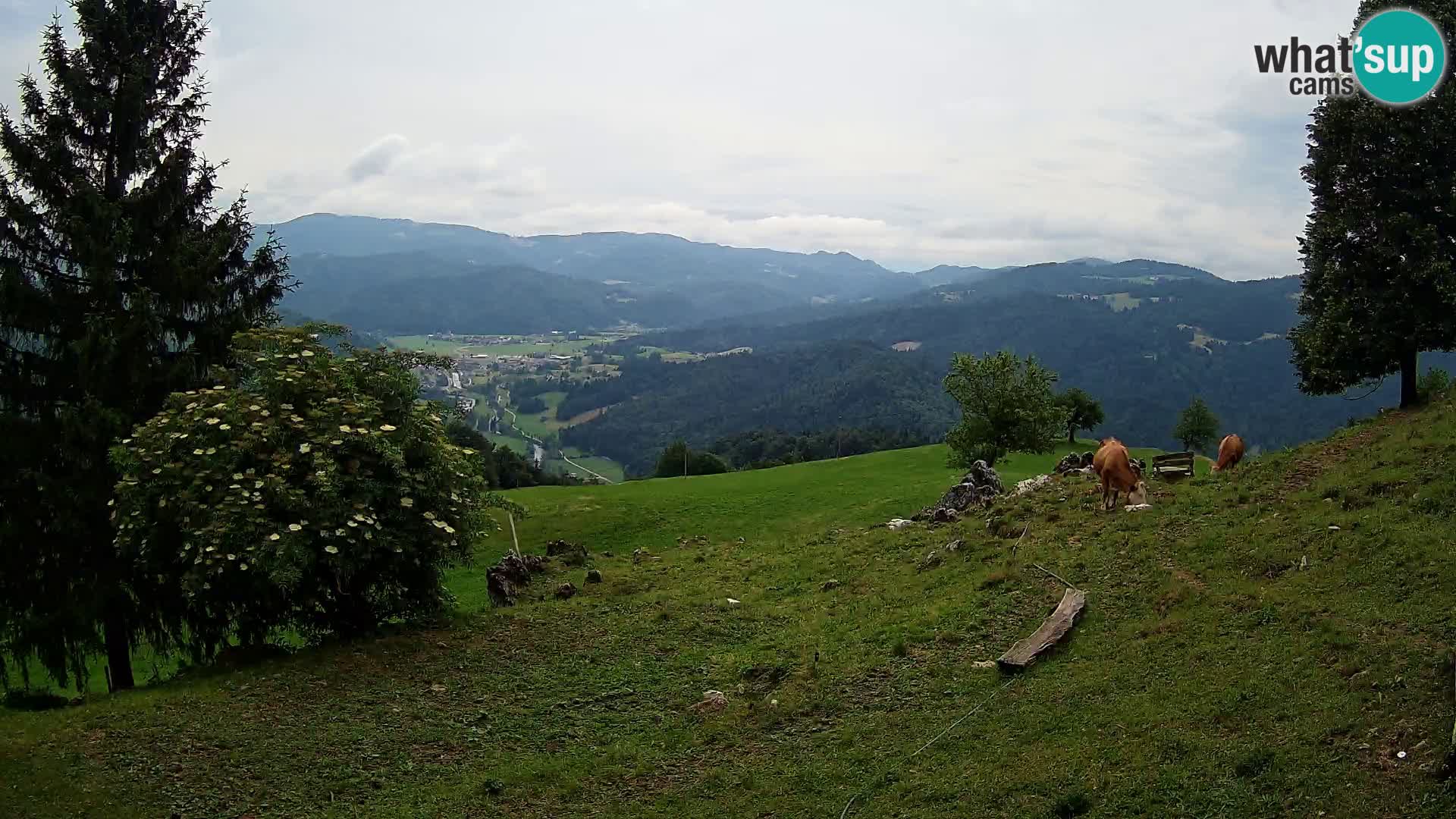Slajka webcam | Gorenja Vas | Slowenien